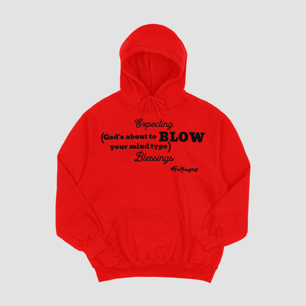 Expecting Blessings Hoodie